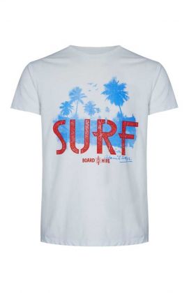 Camisetas de hombre estilo surfero - Camiseta de hombre Primark 2