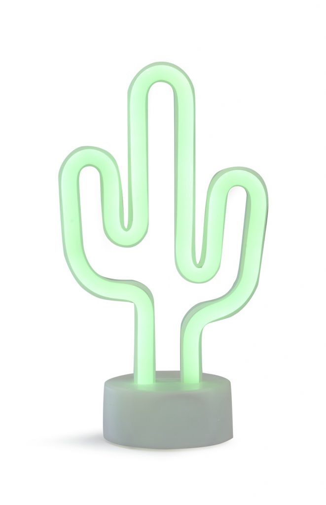 Mini cactus light - penneys 1096150